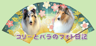 blog_se002.jpg