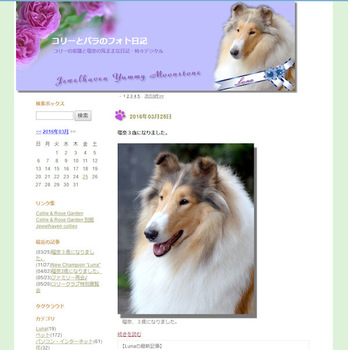 sblog_004.jpg