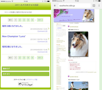 sblog_005.jpg